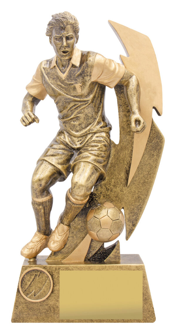 Soccer Shazam, Male or Female - Image 2