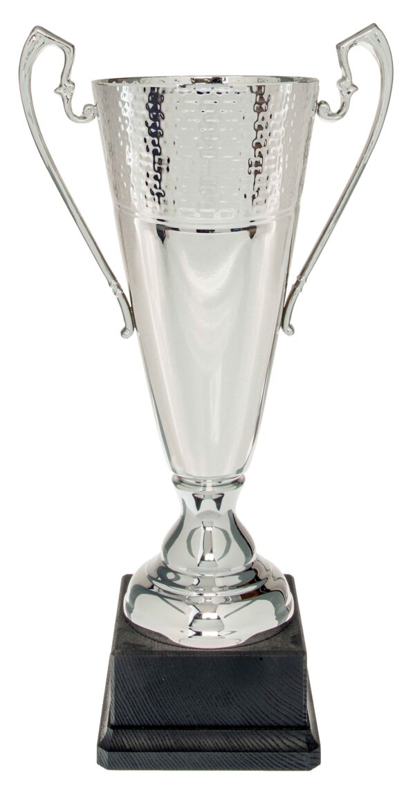 Silver finish Trophy Cup.