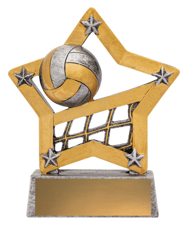 Volleyball Star resin.