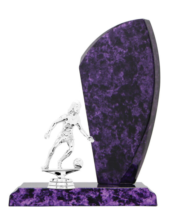 Soccer Timber Trophy (Marble Look Finish)