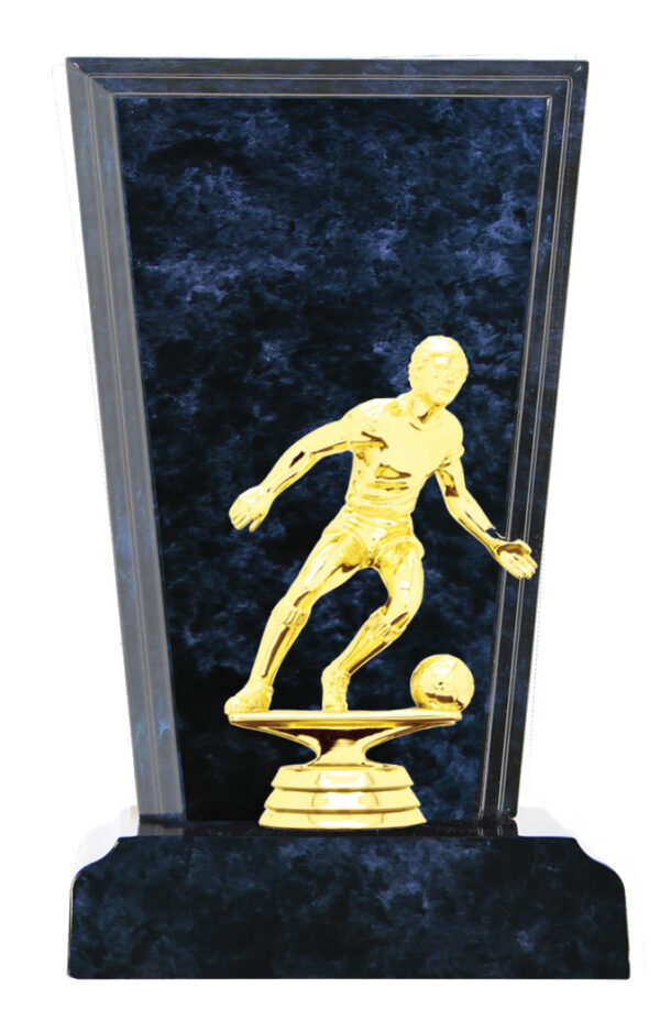 Soccer Timber Trophy (Marble Look Finish)