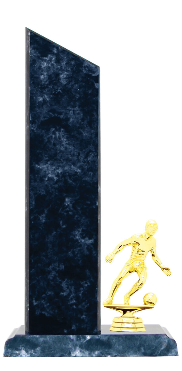 Soccer Timber Trophy (Marble Look Finish)