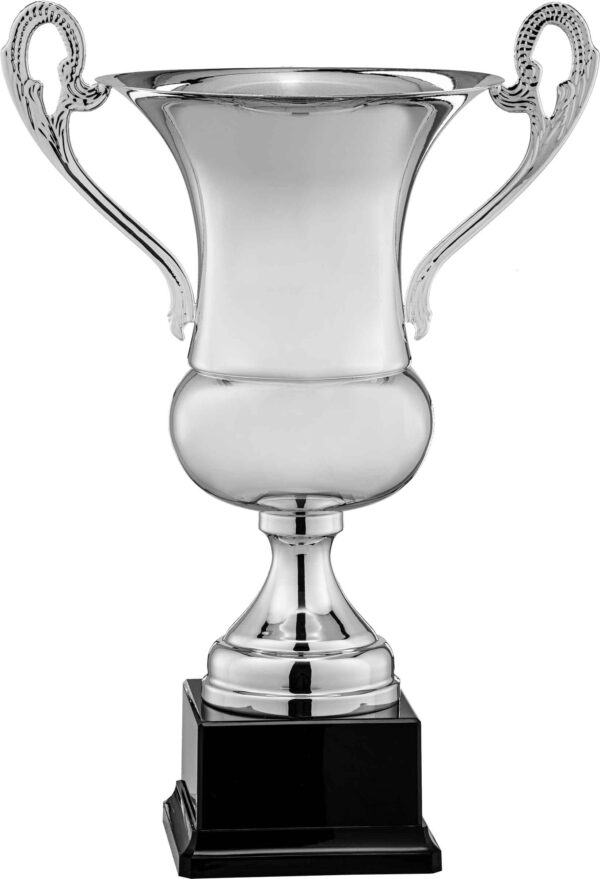 Classic Silver Finish Cup
