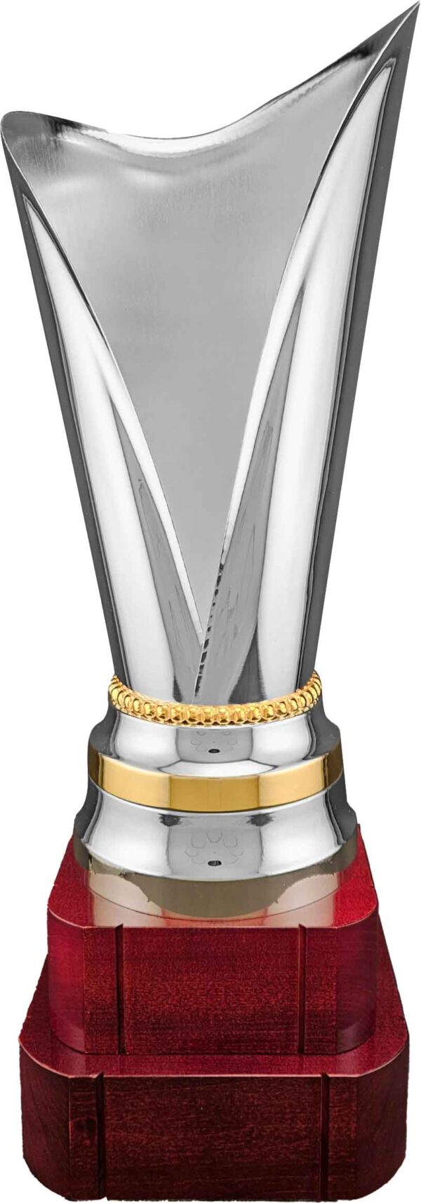 Silver & Gold plated Cup. - Image 2