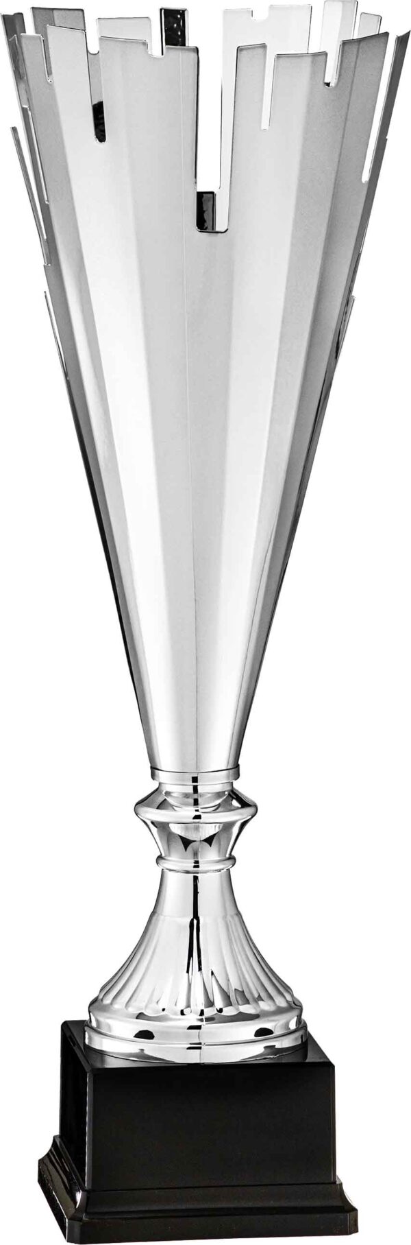 Silver finish Trophy Cup.