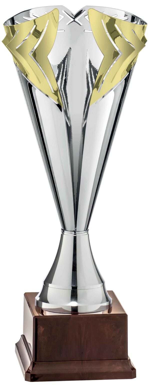 Silver finish Trophy, Gold Trim Cup.