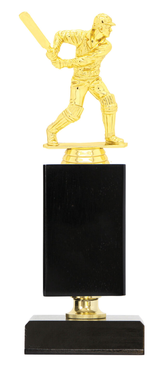 Generic Timber Trophy, interchangeable figurine for many sports. - Image 3