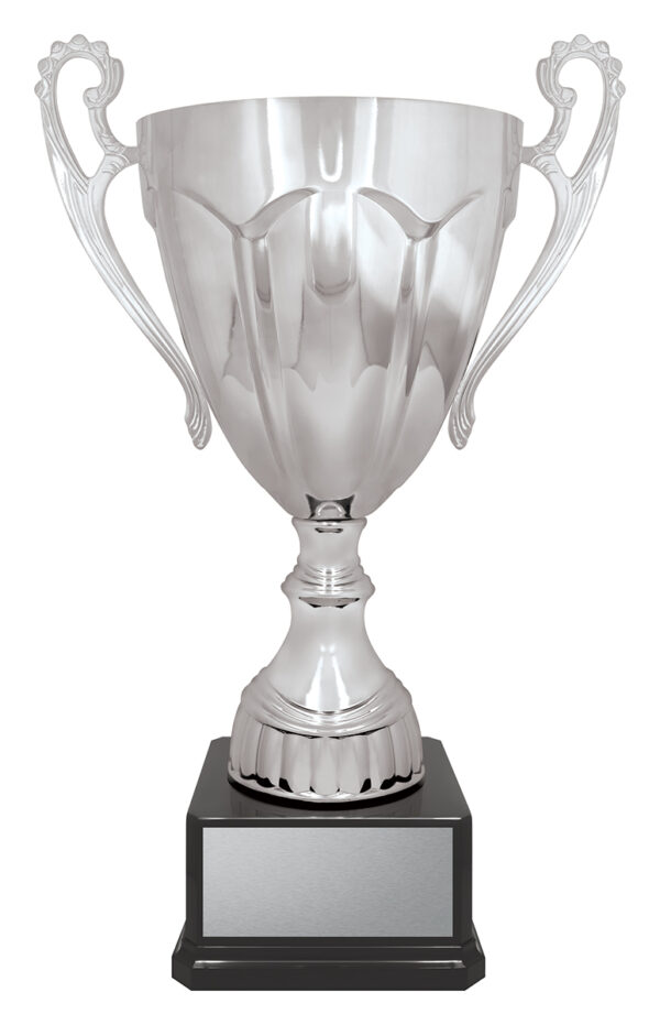 Rubicon Gold or Silver Colour Metal Cup on Plastic Base.