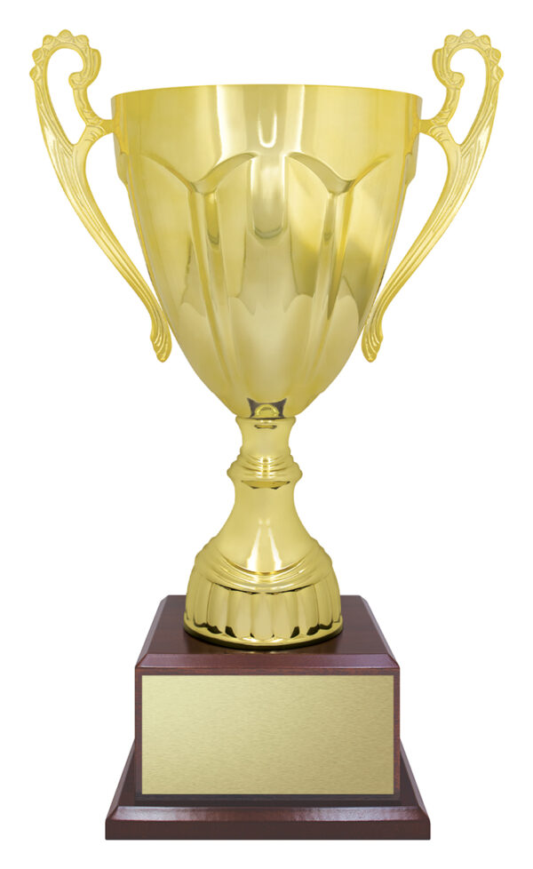 Gold or Silver Colour Metal Cup on wood base.