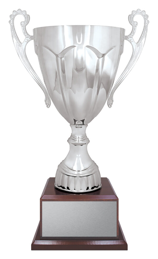 Gold or Silver Colour Metal Cup on wood base. - Image 2