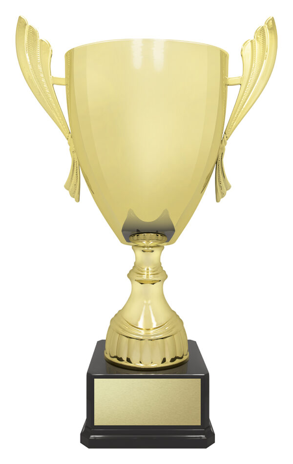 Gold or Silver Colour Metal Ironside Cup on base.