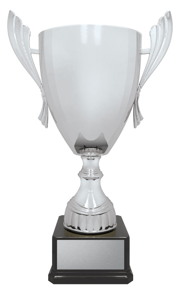 Gold or Silver Colour Metal Ironside Cup on base. - Image 2