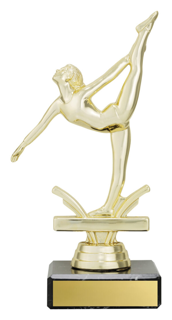 Dance Dazzle Series. 6 Colours, 5 sizes. - Image 4