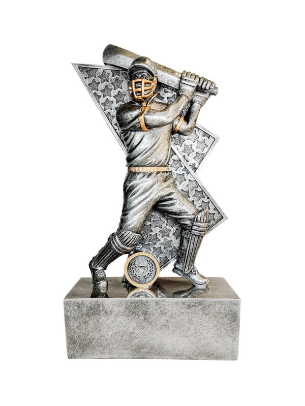 *NEW* Cricket Male or Female Batter.