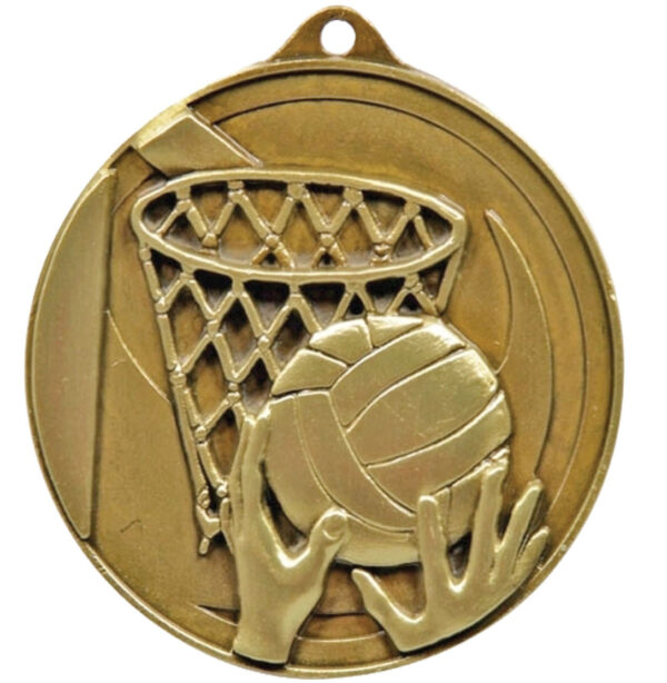 Netball medal Gold or Silver.
