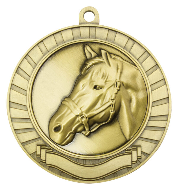 Eco Scroll Medal (70mm) Gold or Silver colour. - Image 15