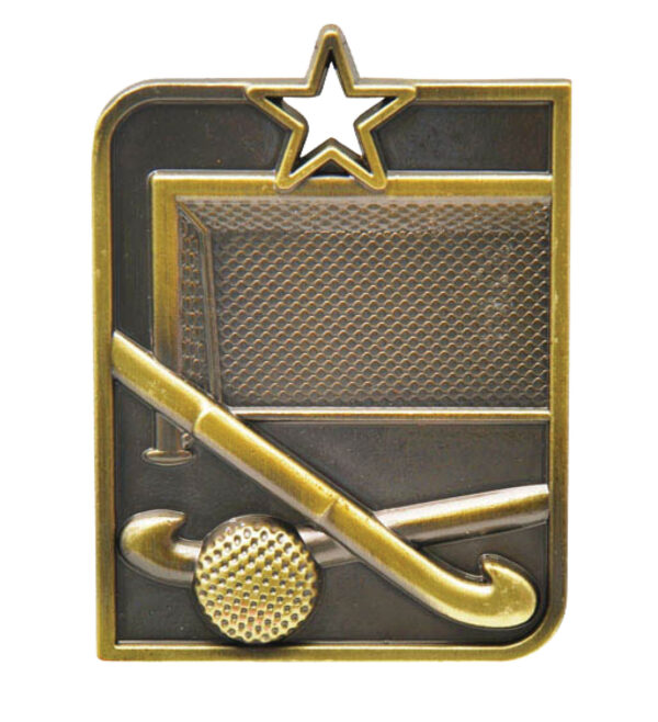 Hockey rectangle medal Gold, Silver or Bronze.