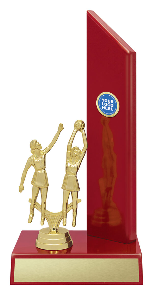 Timber Trophy Netball.
