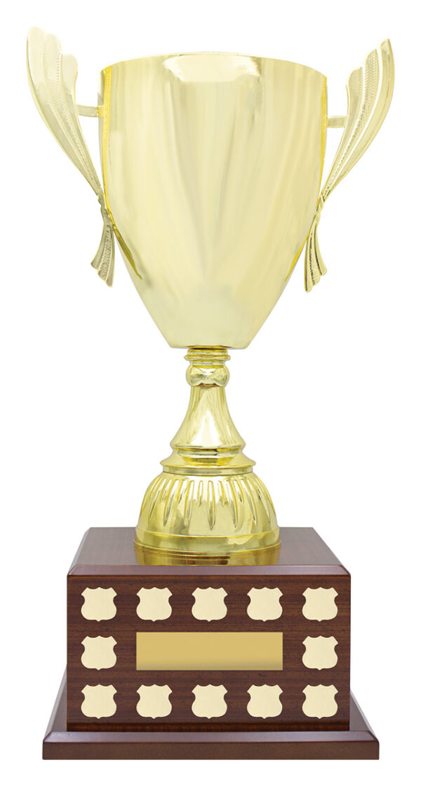 Perpetual Timber Trophy (540mm).