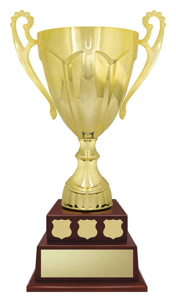 Monument Cup Perpetual Timber Trophy (550mm).