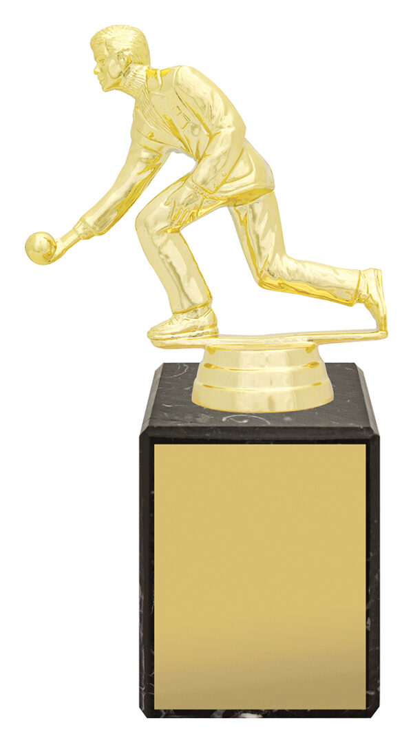 Lawn Bowls Marble Series. (Male or Female) - Image 4