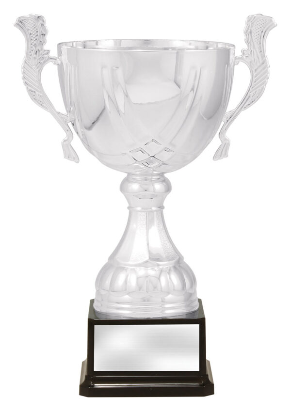 Silver Colour Metal Cup on Plastic stem and base.