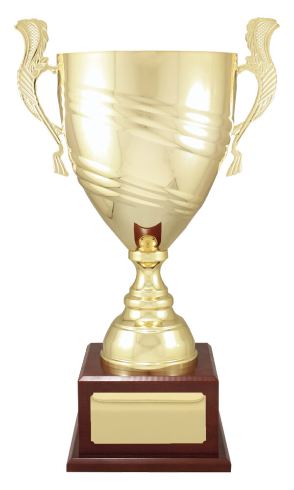 Gold or Silver Colour Metal Cup on wood base.