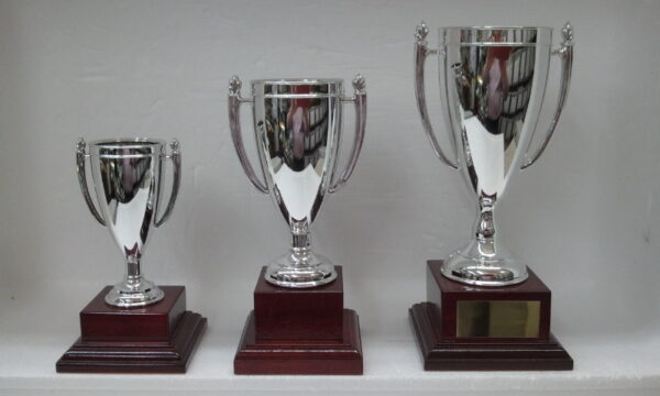 Silver plastic cup.