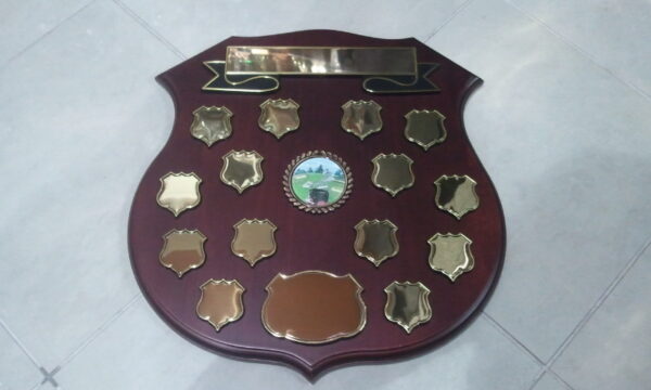 Shield (size: 350x380mm)