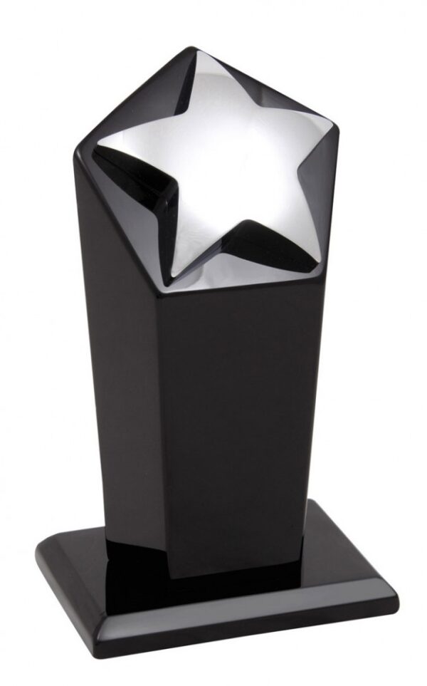 STAR  (Metal Chrome Star) 1 left in stock ONLY.