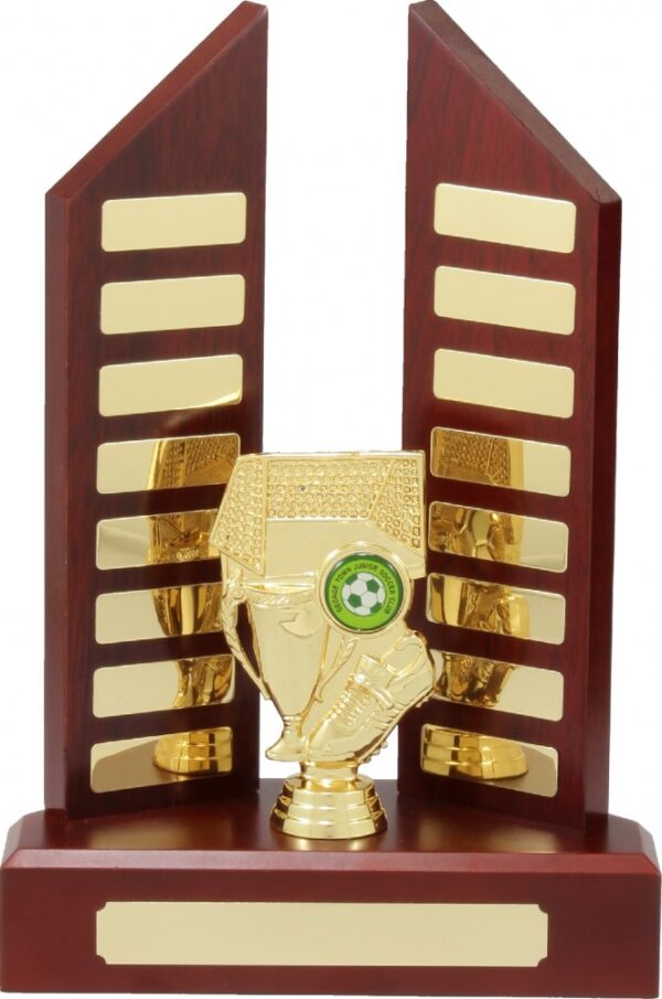 Perpetual Timber trophy.