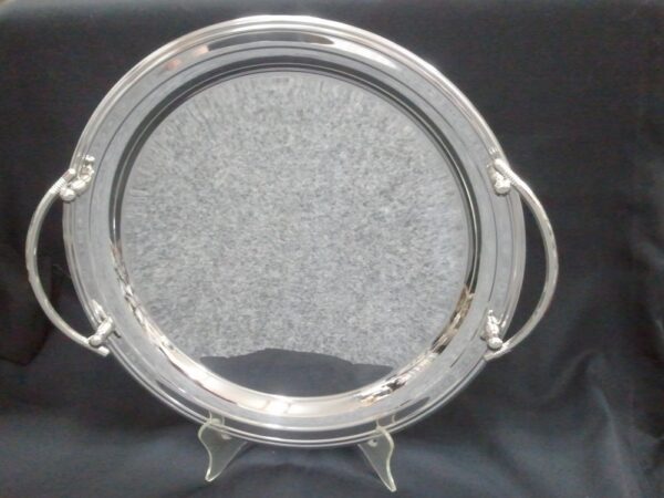 Stainless Steel Tray. Click here for price.