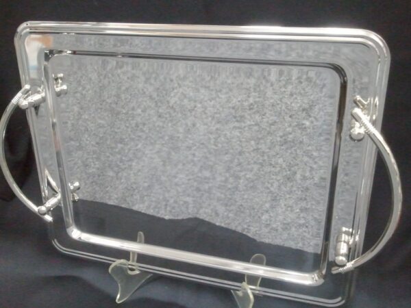 Stainless Steel Tray.