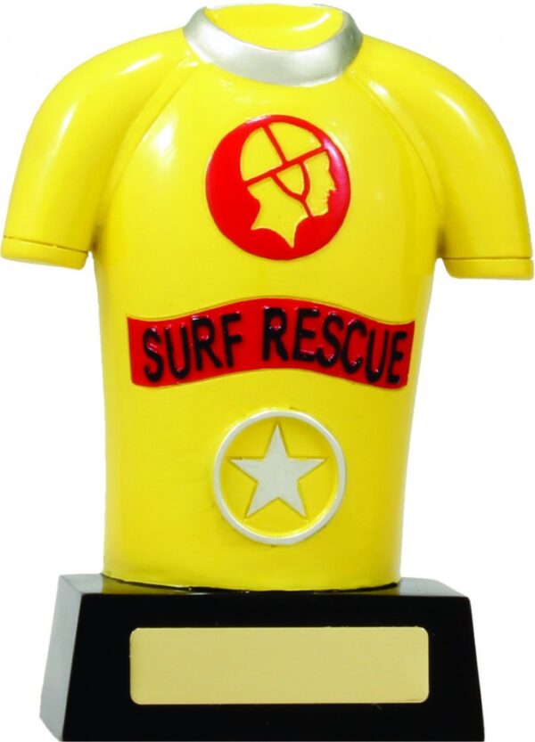 Lifesaving Shirt. 1 left of each size in stock.
