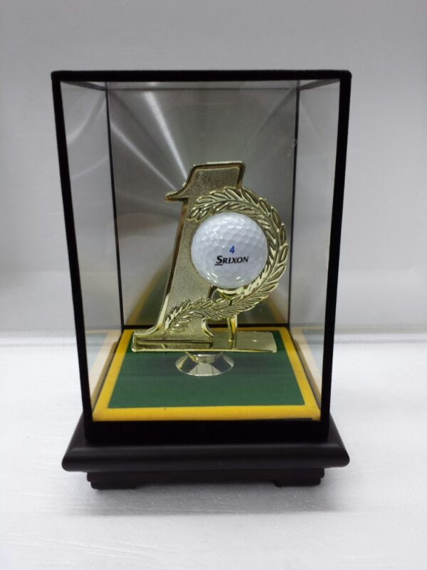 Small Perspex case. Hole in One