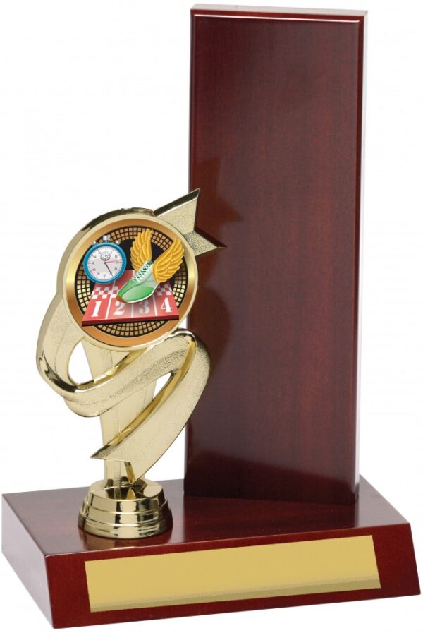 Timber Wing Backstand Trophy 3 sizes to choose from (interchangeable figurine for many sports)