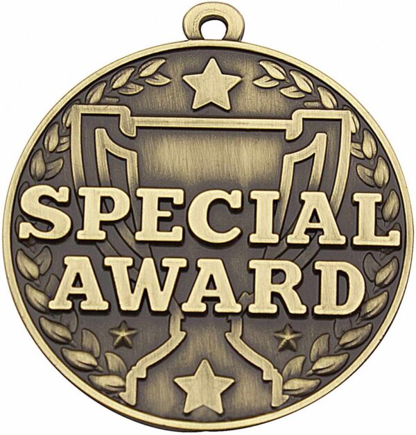 Special Award Medal (50mm)