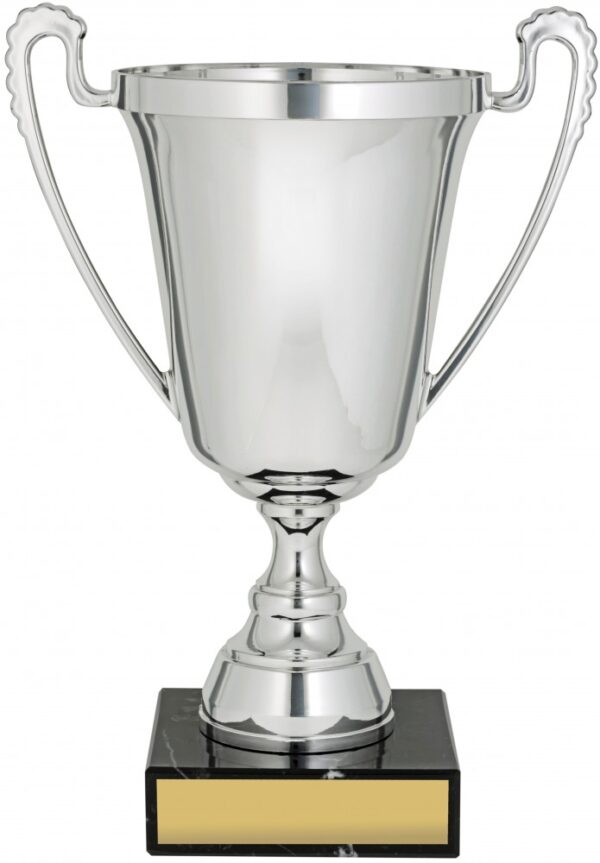 Silver Colour Plastic cup, The Moment Series.