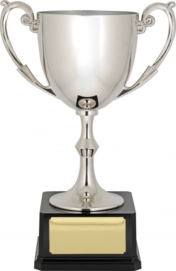 Silver Colour Cup (Nickel Plated).