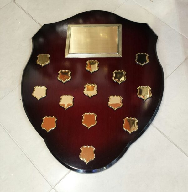 Shield (size: 540x430mm)
