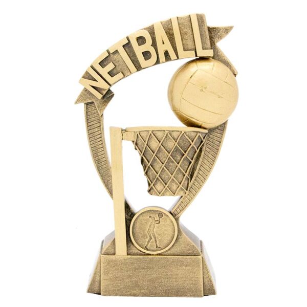 Netball Banner Series.