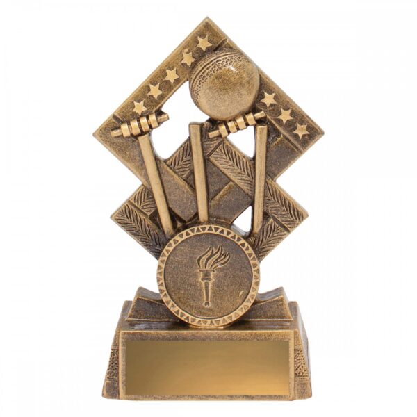Cricket Double Diamond Series.