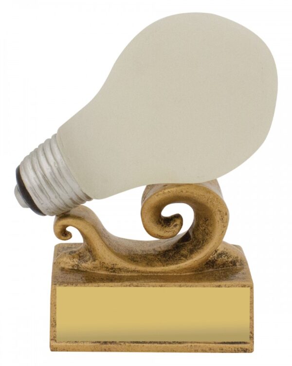 Bright Idea Award.