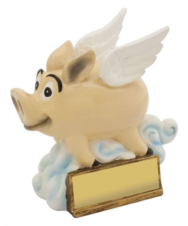 Flying Pig Award.